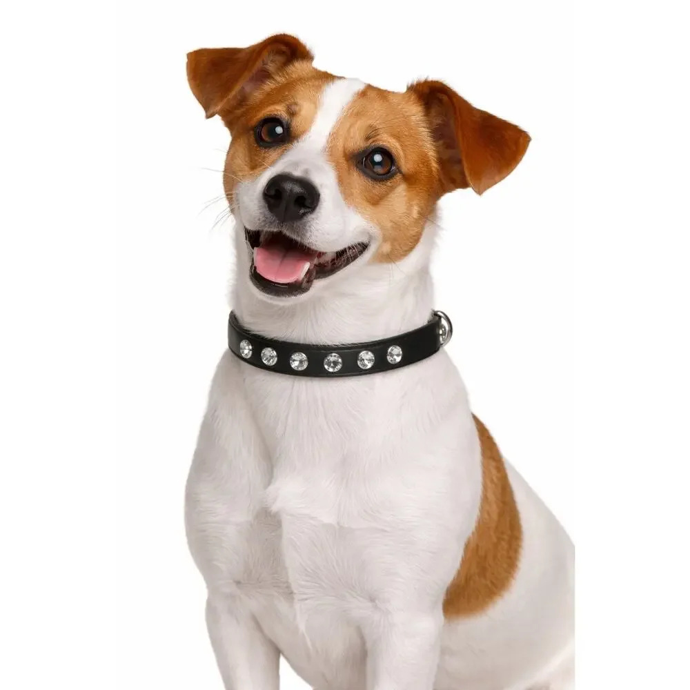 NEW‎ Black Rhinestone Dog Collar 15” Adjustable Pet Collar Bling Accessory